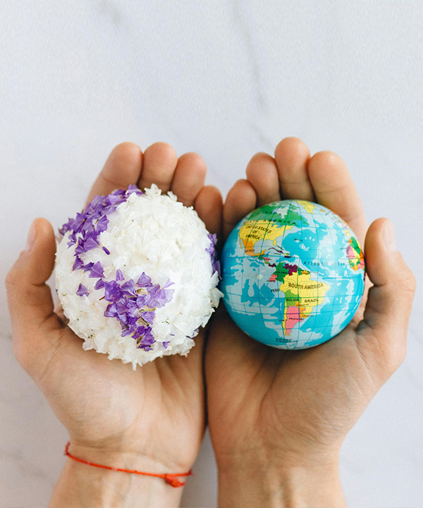 De wereld van verschillen